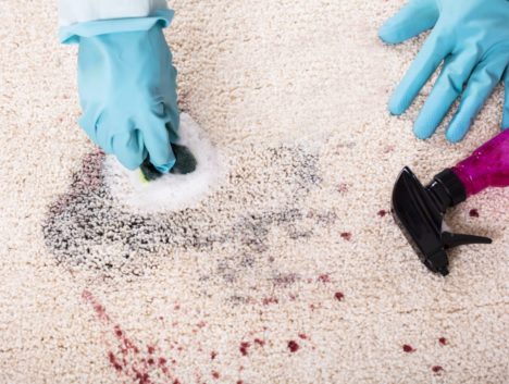 Stain being cleaned off carpet by Parramatta cleaner